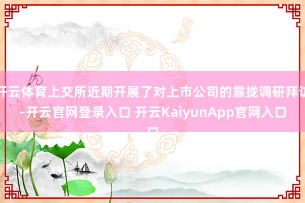 开云体育上交所近期开展了对上市公司的靠拢调研拜访-开云官网登录入口 开云KaiyunApp官网入口